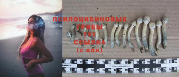 a pvp Белокуриха