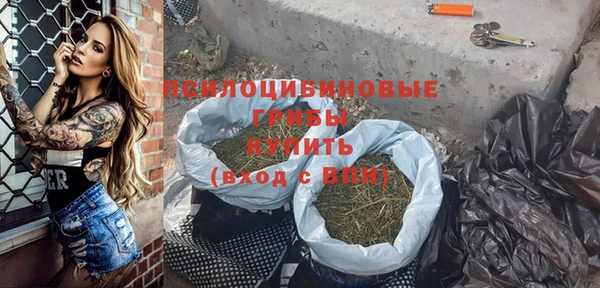 a pvp Белокуриха