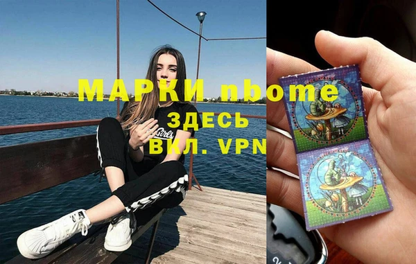 индика Беломорск
