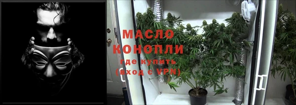 индика Беломорск