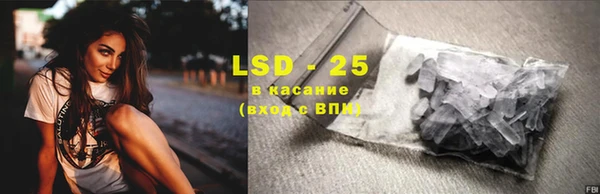 индика Беломорск