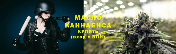 индика Беломорск