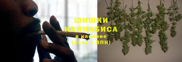 индика Беломорск