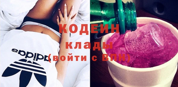 индика Беломорск