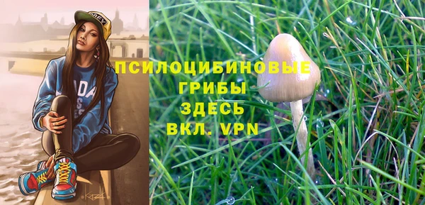 индика Беломорск
