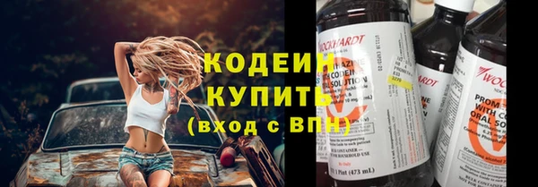 индика Беломорск