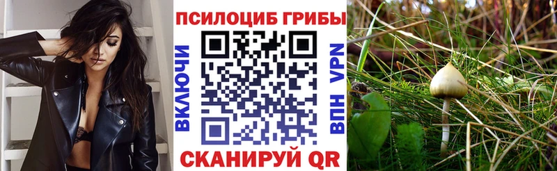 MEGA рабочий сайт  Верещагино  Псилоцибиновые грибы MAGIC MUSHROOMS  закладка 